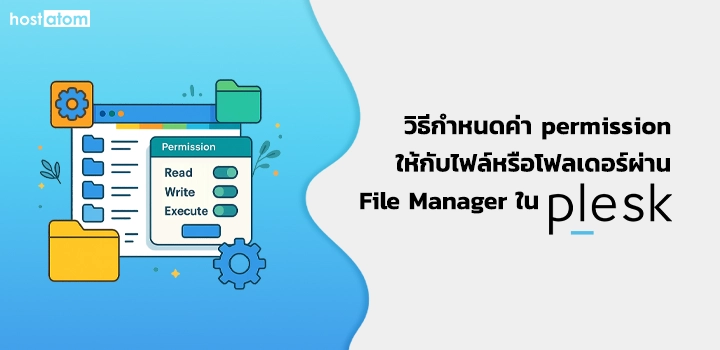 How to set permission file folder File Manager in Plesk