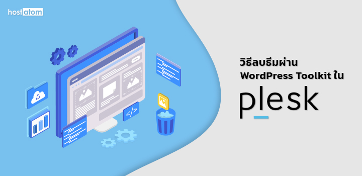 Remove themes WordPress toolkit Plesk