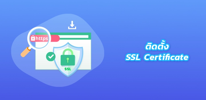 How to easily get started hosting beginners (Plesk)