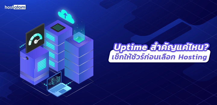 Uptime matters! Check before hosting