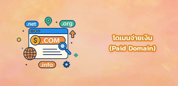 02-Paid Domain