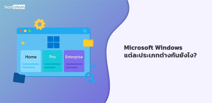 Differences between type Microsoft Windows