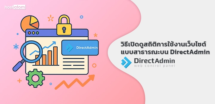 View public website usage statistics DirectAdmin