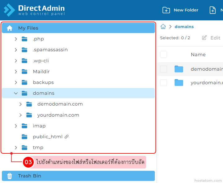 DirectAdmin file manager: left pane shows 'My Files' with folders (including domains) and subfolders like demodomain.com and yourdomain.com, plus a Trash Bin at the bottom.