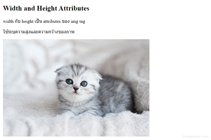 html-width-height-attribute