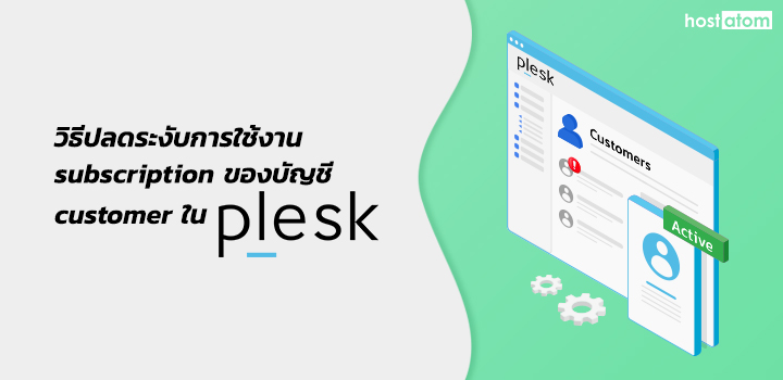 Active subscription user customer Plesk