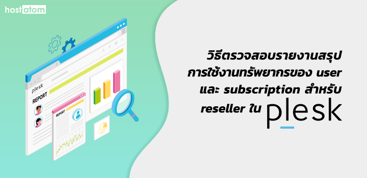 Summary report resources user subscription reseller Plesk