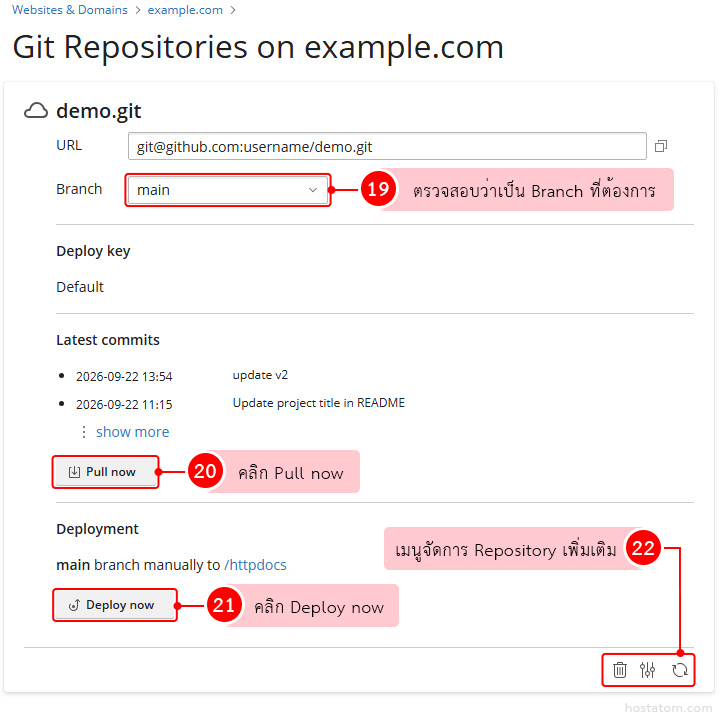 จัดการ Branch และ Deploy Git Repository บน Plesk
