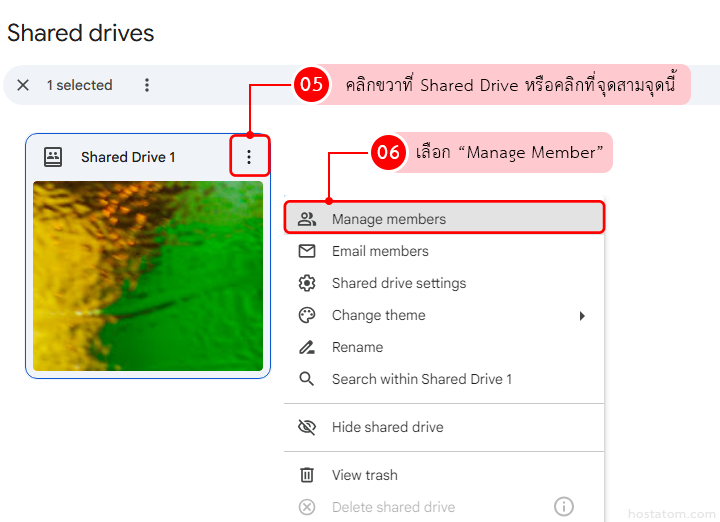 32525 delete member shared drive 002