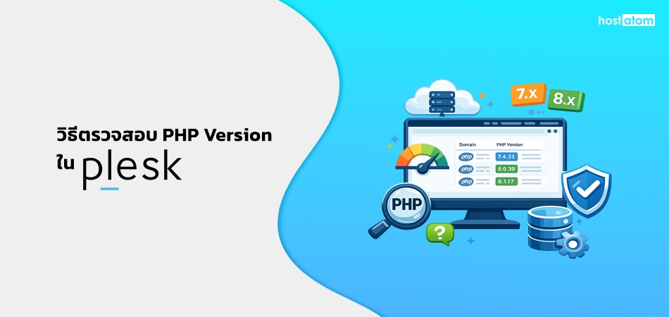 How to check the PHP version in Plesk
