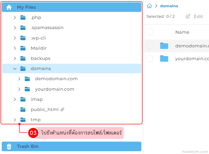 File manager UI with an expanded 'domains' folder showing demodomain.com and yourdomain.com; Trash Bin at the bottom.