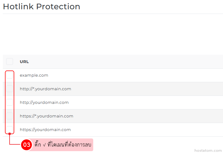 Hotlink Protection settings page with a list of URLs and checkboxes to enable protection for selected domains.