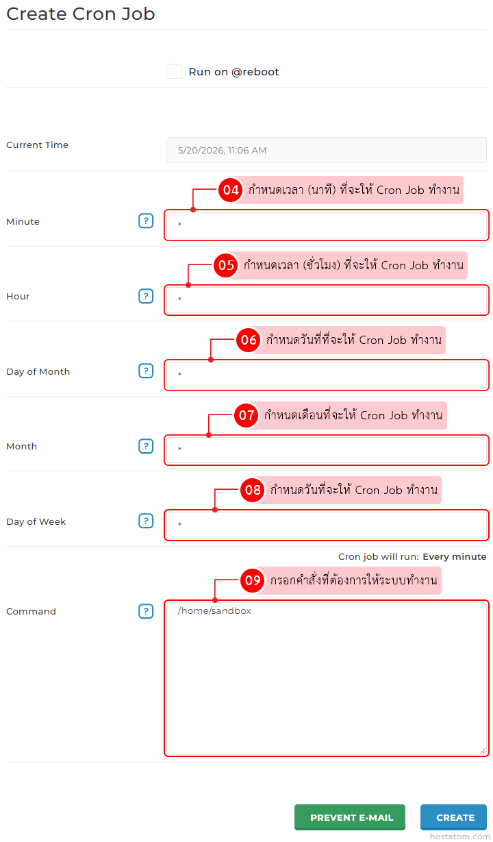 Create Cron Job form with fields for Minute, Hour, Day of Month, Month, Day of Week and Command; current time shown as 5/20/2026, 11:06 AM; option to Run on @reboot.