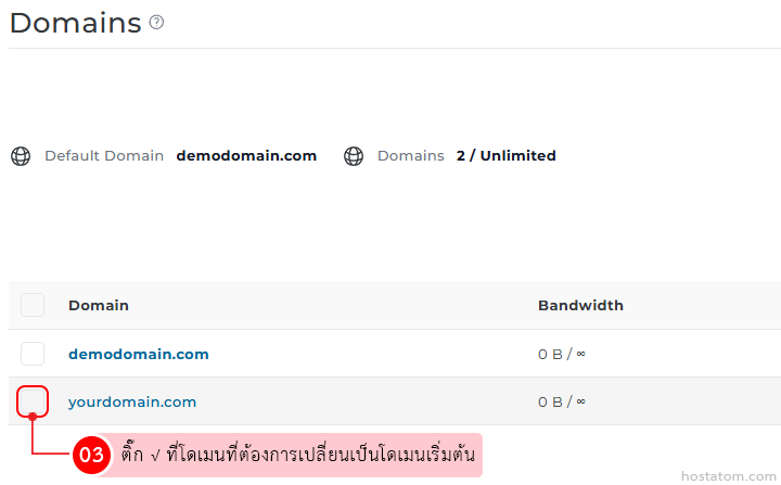 Domains management panel listing demodomain.com and yourdomain.com; use the checkbox to set a default domain.