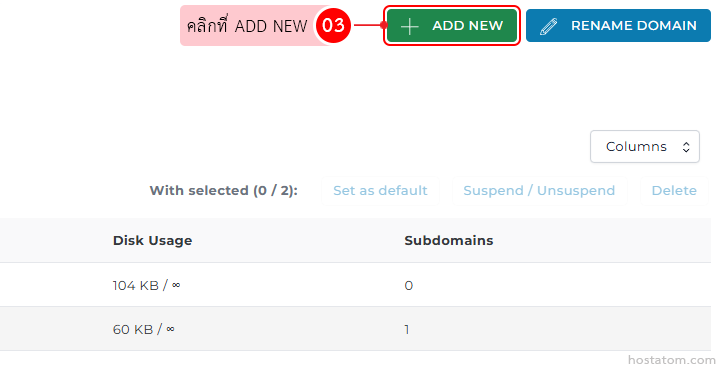 UI toolbar with domain actions: prominent green Add New button, pink notification badge 03, and blue Rename Domain button alongside a disk usage table.
