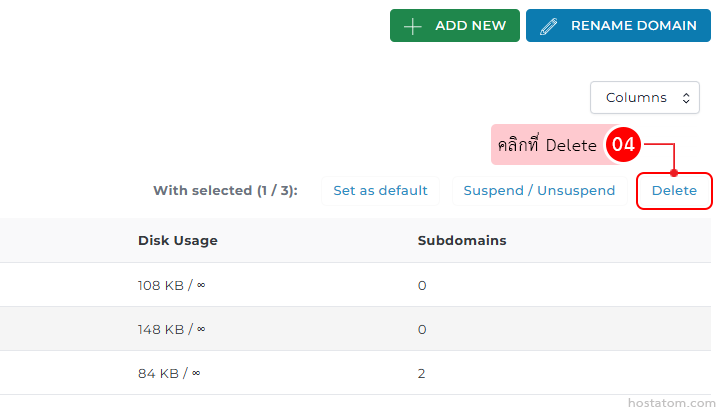 Domain management panel with Add New and Rename Domain buttons; Delete is highlighted for item 04.