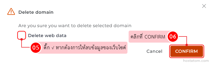 Delete domain confirmation dialog asking to delete the selected domain, with an option to delete web data and Cancel and CONFIRM buttons.