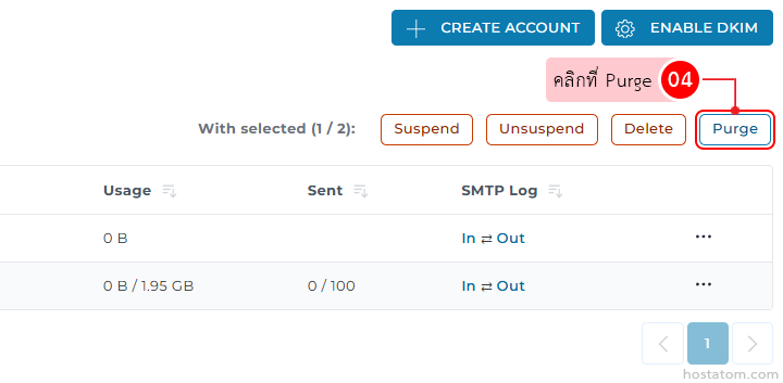 Email management panel with action bar: Suspend, Unsuspend, Delete, Purge; top Create Account and Enable DKIM buttons.
