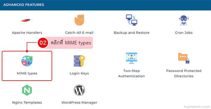 Grid of advanced hosting features with the MIME types card highlighted in red