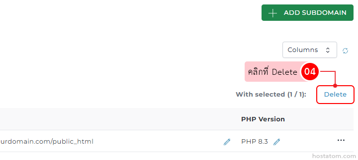 Web admin panel showing a Delete button for the selected subdomain in the subdomain management area, with an Add Subdomain button nearby.