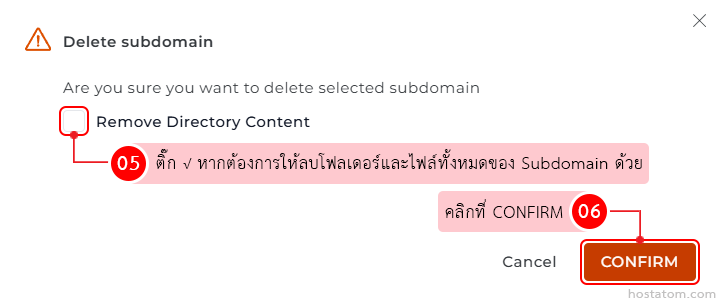 Dialog titled 'Delete subdomain' with a step-by-step flow: step 05 to include removing directory content, step 06 to click CONFIRM, and Cancel/CONFIRM buttons visible.