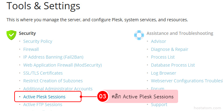 Tools & Settings page with Security options; the 'Active Plesk Sessions' link is highlighted with a red outline and annotation '03'.