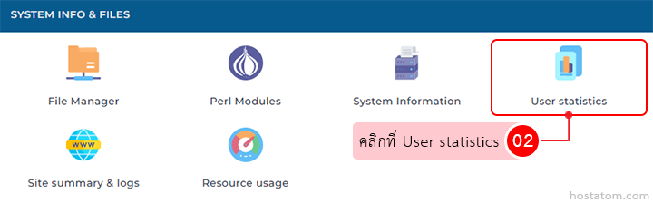 System Info & Files panel showing icons for File Manager, Perl Modules, System Information, User statistics (highlighted), Site summary & logs, Resource usage.