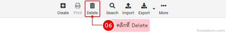Toolbar with icons: Create, Print, Delete (highlighted), Search, Import, Export, More; Delete button emphasized.