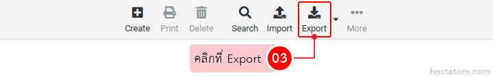 Toolbar with icons for Create, Print, Delete, Search, Import and Export; Export button is highlighted.