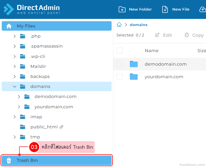 DirectAdmin panel: left sidebar with domains folder expanded and Trash Bin highlighted at the bottom in blue outline.