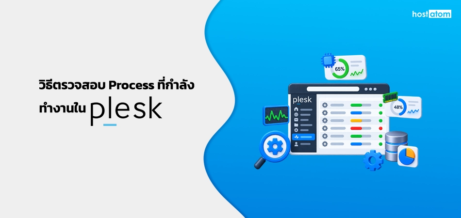 How to check processes currently running in Plesk