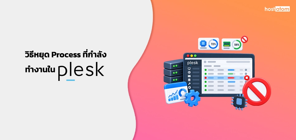 How to stop process running in Plesk