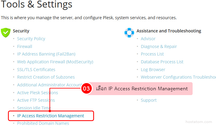 Screenshot of the Plesk Tools & Settings page showing two columns (Security; Assistance and Troubleshooting) with 'IP Access Restriction Management' highlighted and selected.