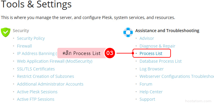 Plesk Tools & Settings page with two columns: Security on the left and Assistance and Troubleshooting on the right; the link 'Process List' is highlighted with a pink callout marked 03.