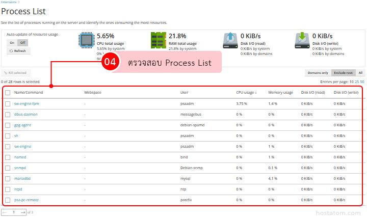 Screenshot of a server Process List page with a red-highlighted table of running processes and resource usage bars at the top, showing columns like Name/Command, Webspace, User, CPU usage, and Memory usage.