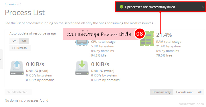 Process List dashboard with a green success banner '1 processes are successfully killed' and Thai overlay; no domain processes found