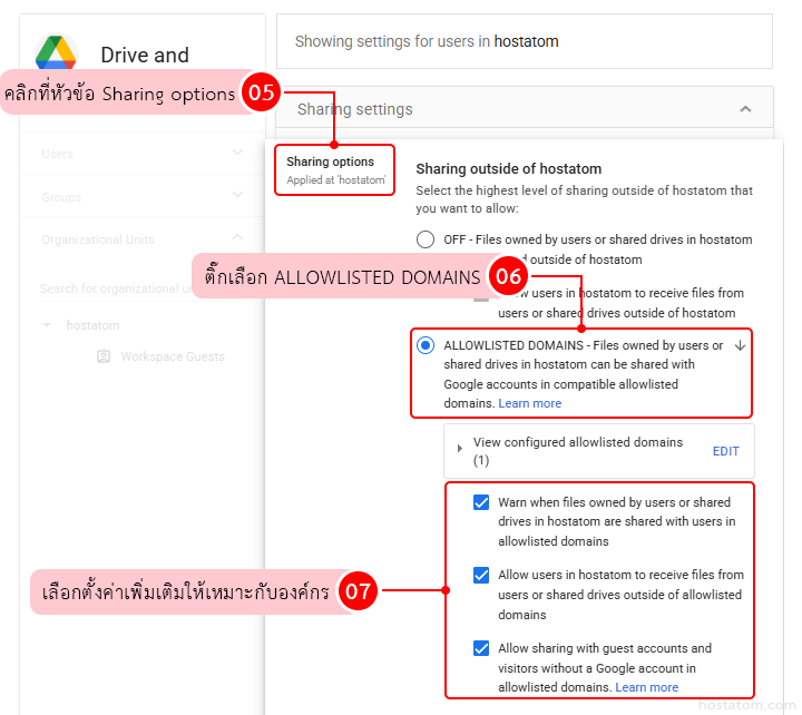 How to Enable Allowlisted Domains for Google Drive