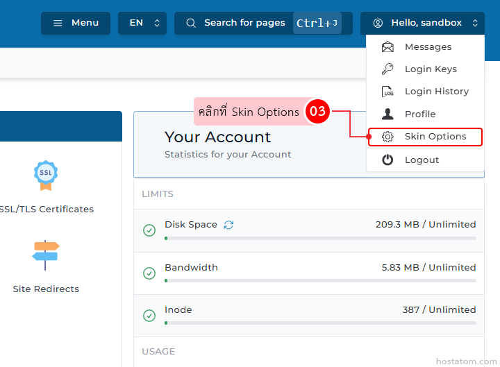 Web app account page; a dropdown menu is open with 'Skin Options' highlighted; tooltip bubble and left navigation icons visible; 'Your Account' panel shows usage statistics.