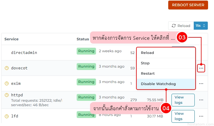 How-to-Manage-System-Services-in-DirectAdmin
